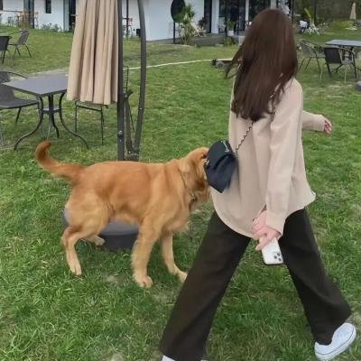 兔子大冒险